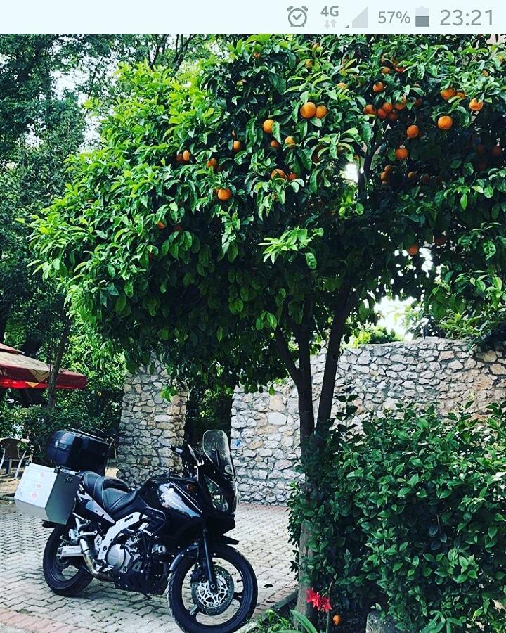 Hotel Ceka Durres Luaran gambar